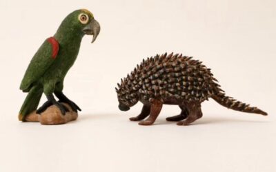 Alunos da Cooperativa Crescer