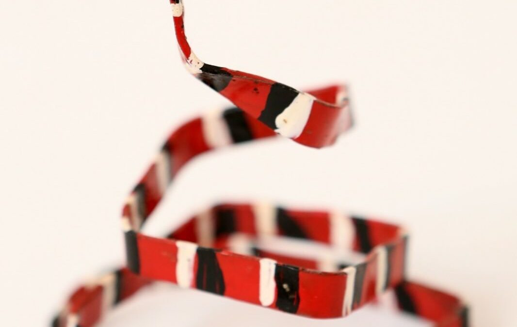 Davi da Silva Neto – Joca dos Galos