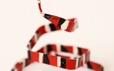 Davi da Silva Neto – Joca dos Galos