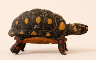 Alunos da Cooperativa Crescer