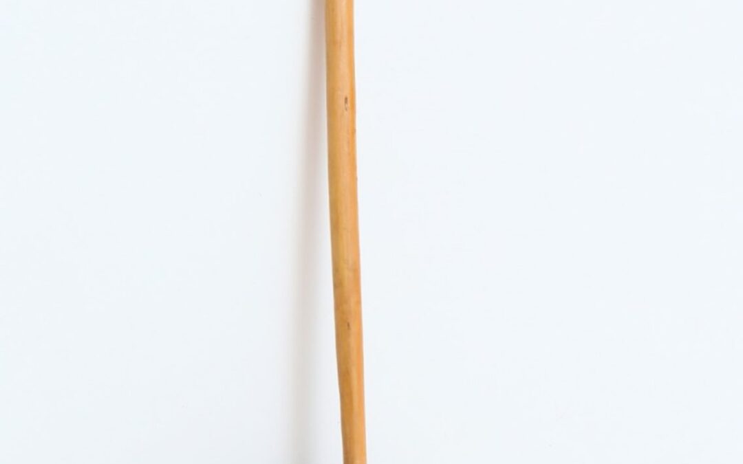 Evanildo Ferreira Ribeiro