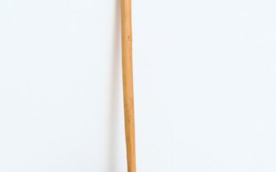 Evanildo Ferreira Ribeiro